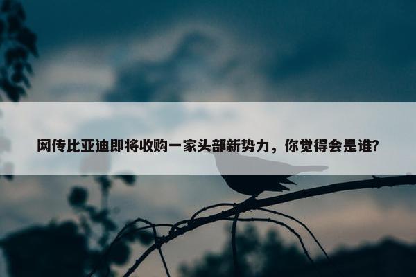 网传比亚迪即将收购一家头部新势力，你觉得会是谁？