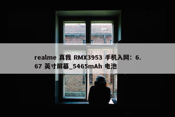 realme 真我 RMX3953 手机入网：6.67 英寸屏幕_5465mAh 电池