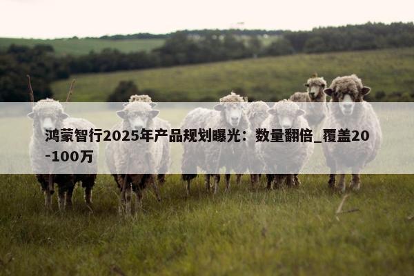 鸿蒙智行2025年产品规划曝光：数量翻倍_覆盖20-100万