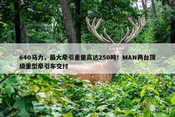 640马力，最大牵引重量高达250吨！MAN两台顶级重型牵引车交付