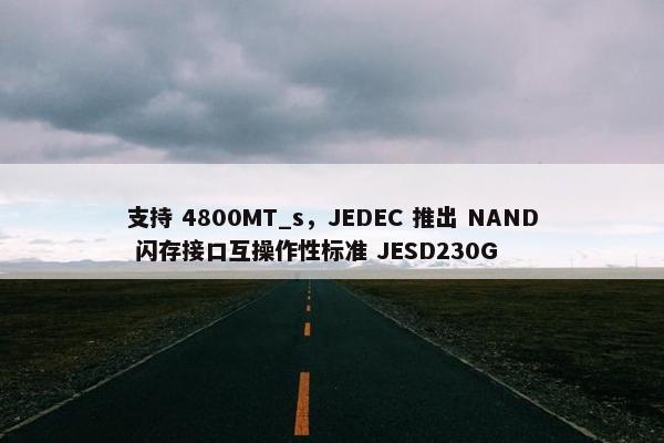 支持 4800MT_s，JEDEC 推出 NAND 闪存接口互操作性标准 JESD230G