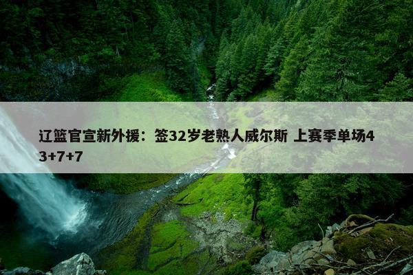 辽篮官宣新外援：签32岁老熟人威尔斯 上赛季单场43+7+7