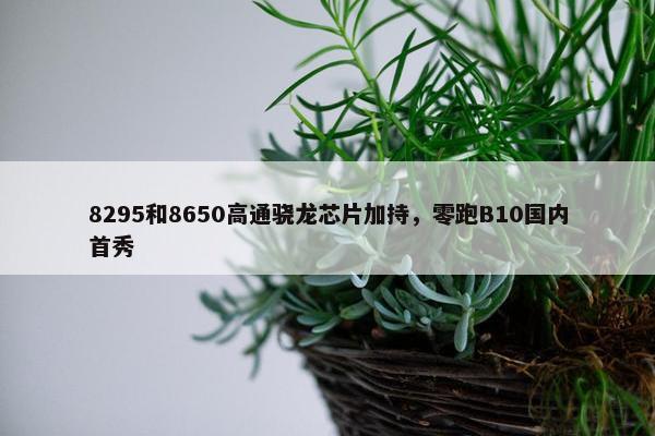 8295和8650高通骁龙芯片加持，零跑B10国内首秀