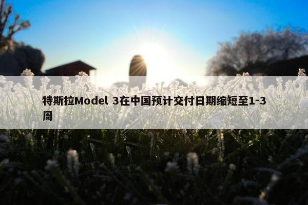 特斯拉Model 3在中国预计交付日期缩短至1-3周