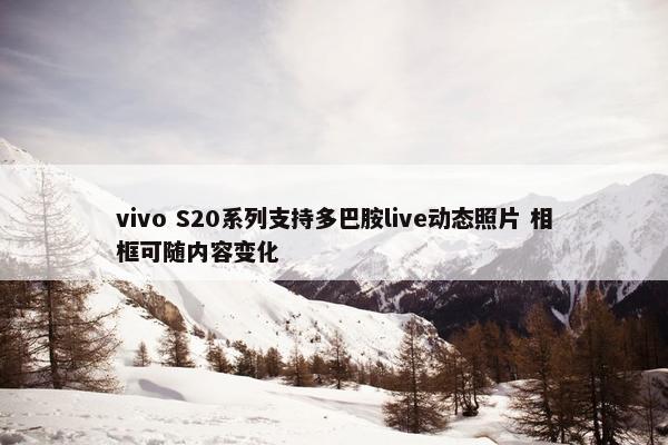 vivo S20系列支持多巴胺live动态照片 相框可随内容变化