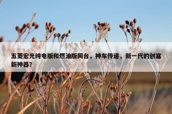 五菱宏光纯电版和燃油版同台，神车传递，新一代的创富新神器？