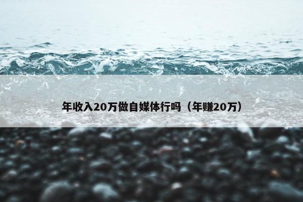 年收入20万做自媒体行吗（年赚20万）