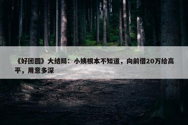 《好团圆》大结局：小姨根本不知道，向前借20万给高平，用意多深