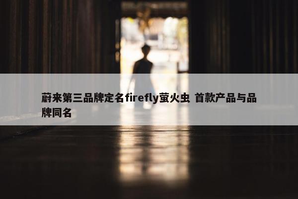 蔚来第三品牌定名firefly萤火虫 首款产品与品牌同名