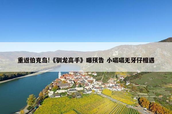 重返伯克岛!《驯龙高手》曝预告 小嗝嗝无牙仔相遇