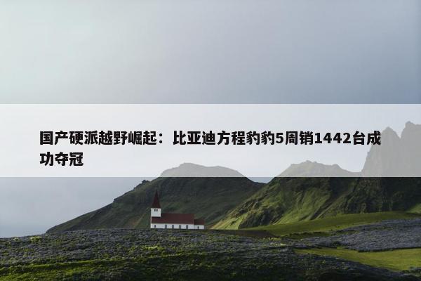 国产硬派越野崛起：比亚迪方程豹豹5周销1442台成功夺冠