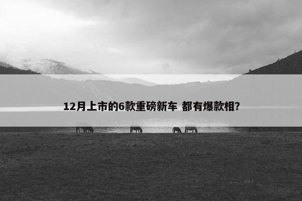 12月上市的6款重磅新车 都有爆款相？