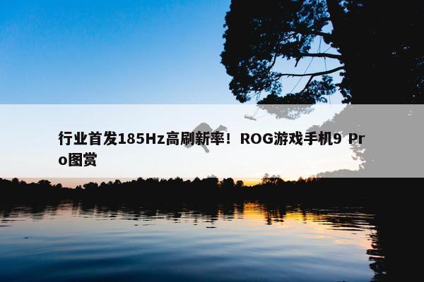 行业首发185Hz高刷新率！ROG游戏手机9 Pro图赏