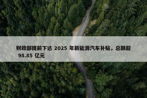 财政部提前下达 2025 年新能源汽车补贴，总额超 98.85 亿元