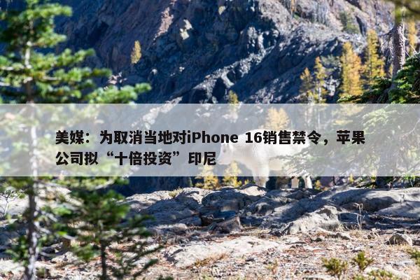 美媒：为取消当地对iPhone 16销售禁令，苹果公司拟“十倍投资”印尼