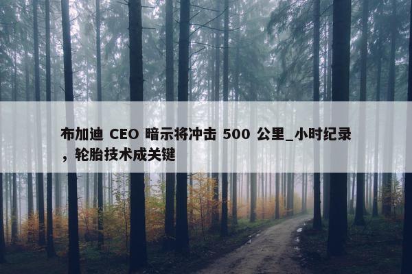 布加迪 CEO 暗示将冲击 500 公里_小时纪录，轮胎技术成关键