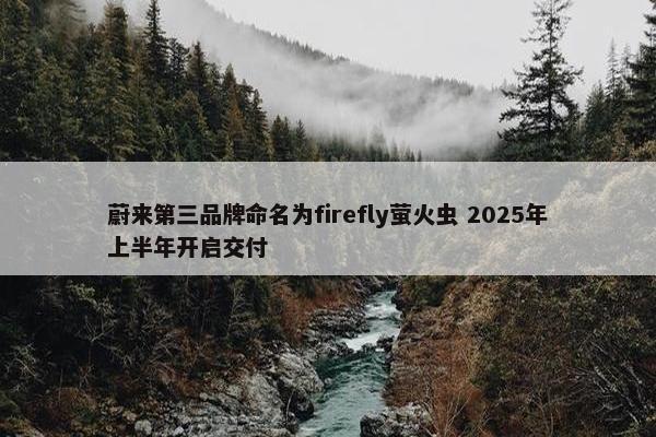 蔚来第三品牌命名为firefly萤火虫 2025年上半年开启交付