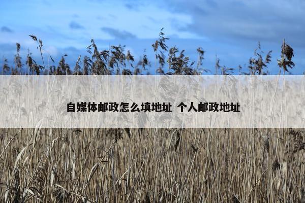 自媒体邮政怎么填地址 个人邮政地址