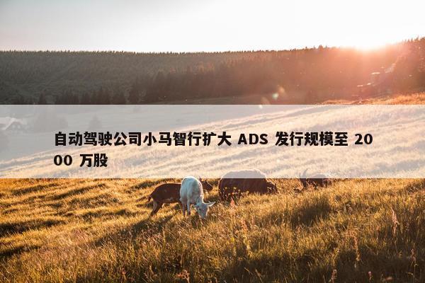 自动驾驶公司小马智行扩大 ADS 发行规模至 2000 万股