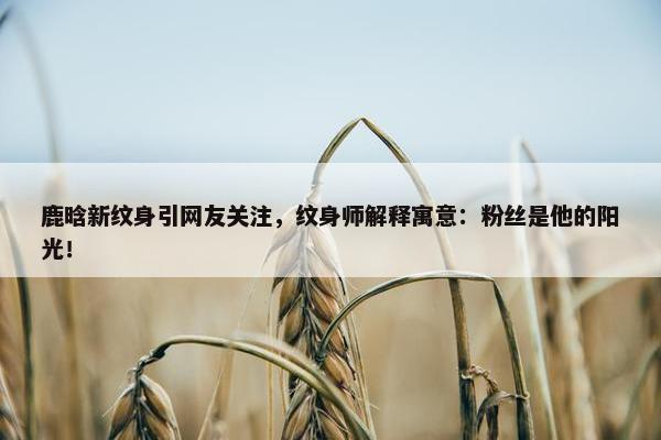 鹿晗新纹身引网友关注，纹身师解释寓意：粉丝是他的阳光！