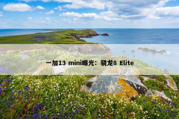 一加13 mini曝光：骁龙8 Elite