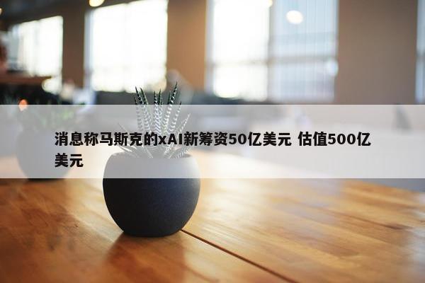 消息称马斯克的xAI新筹资50亿美元 估值500亿美元