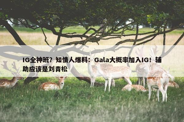 IG全神班？知情人爆料：Gala大概率加入IG！辅助应该是刘青松