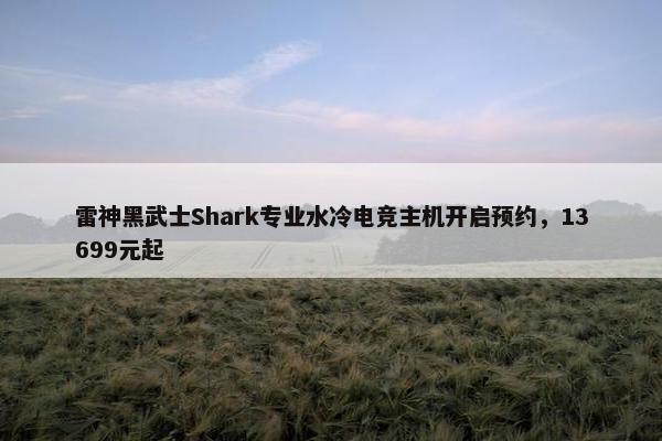 雷神黑武士Shark专业水冷电竞主机开启预约，13699元起