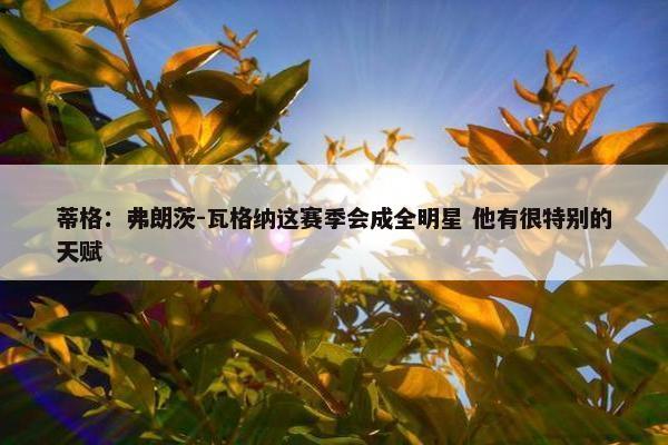 蒂格：弗朗茨-瓦格纳这赛季会成全明星 他有很特别的天赋