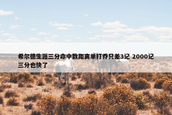 希尔德生涯三分命中数距离单打乔只差3记 2000记三分也快了