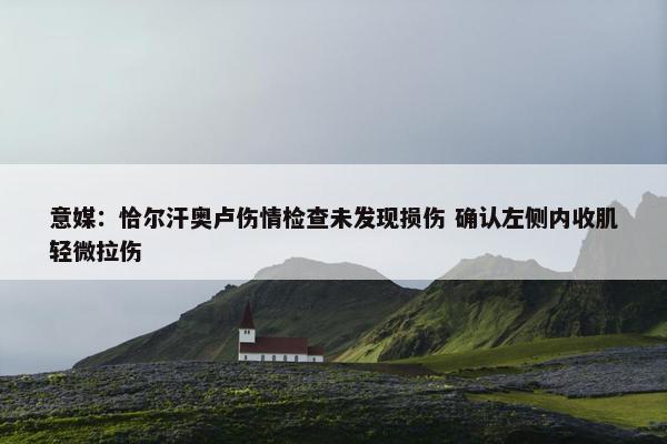 意媒：恰尔汗奥卢伤情检查未发现损伤 确认左侧内收肌轻微拉伤