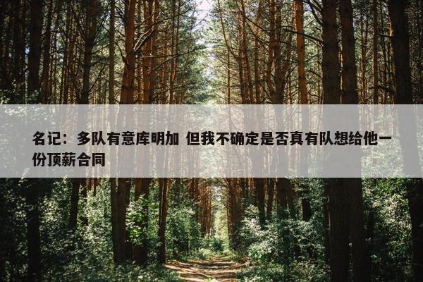 名记：多队有意库明加 但我不确定是否真有队想给他一份顶薪合同