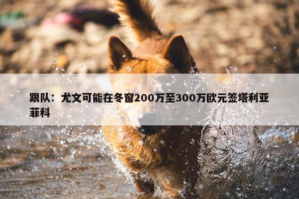 跟队：尤文可能在冬窗200万至300万欧元签塔利亚菲科