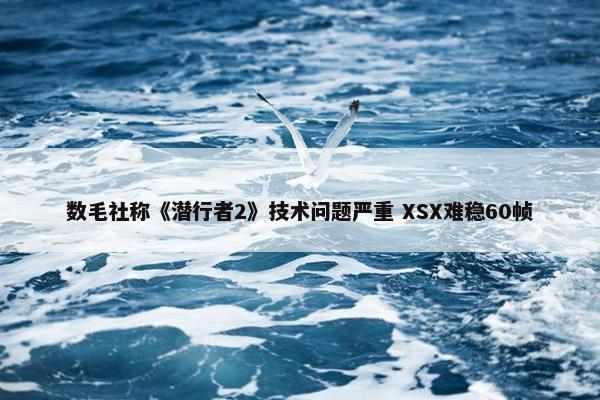 数毛社称《潜行者2》技术问题严重 XSX难稳60帧