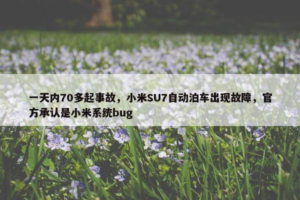 一天内70多起事故，小米SU7自动泊车出现故障，官方承认是小米系统bug