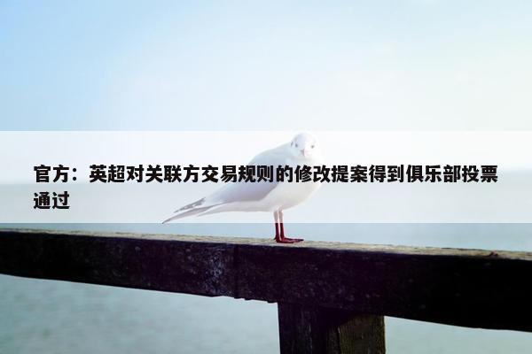 官方：英超对关联方交易规则的修改提案得到俱乐部投票通过