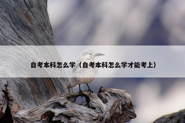 自考本科怎么学（自考本科怎么学才能考上）