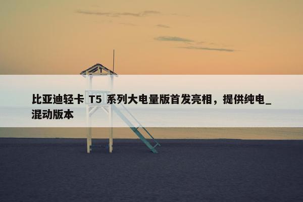 比亚迪轻卡 T5 系列大电量版首发亮相，提供纯电_混动版本