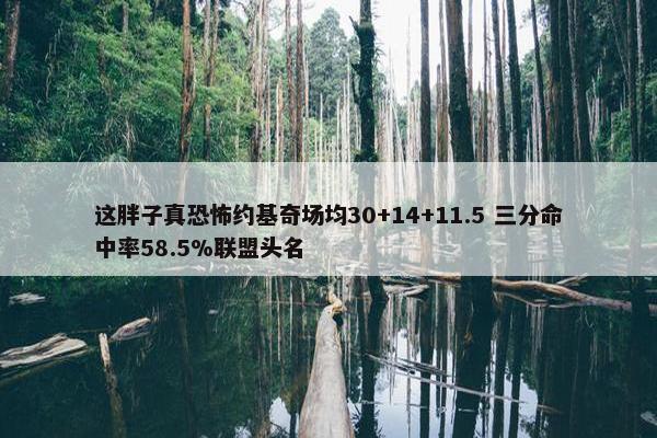 这胖子真恐怖约基奇场均30+14+11.5 三分命中率58.5%联盟头名