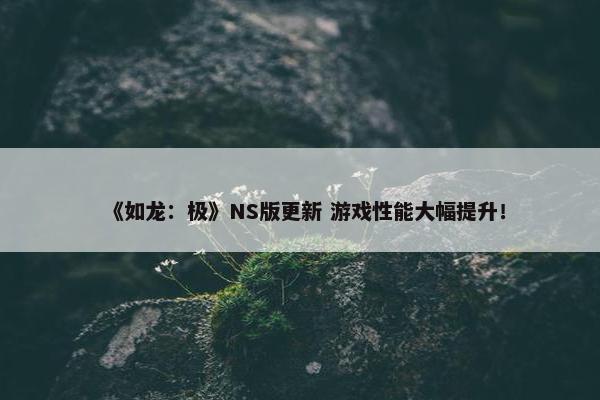 《如龙：极》NS版更新 游戏性能大幅提升！