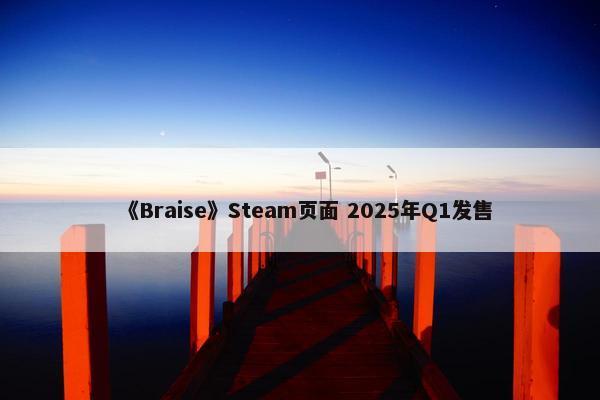 《Braise》Steam页面 2025年Q1发售