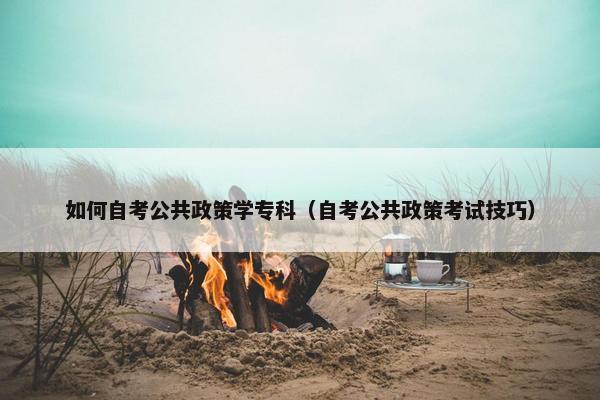 如何自考公共政策学专科（自考公共政策考试技巧）