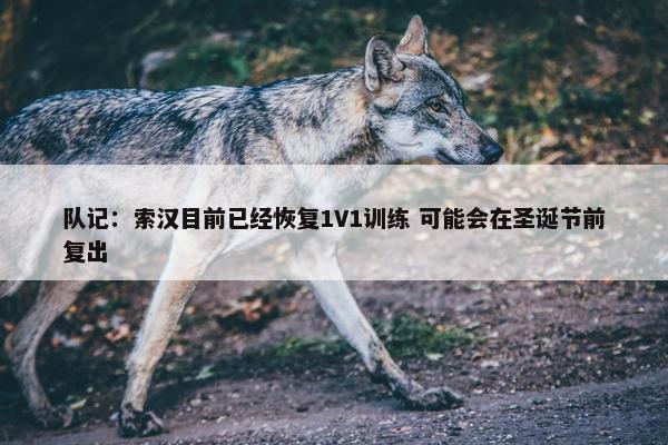 队记：索汉目前已经恢复1V1训练 可能会在圣诞节前复出