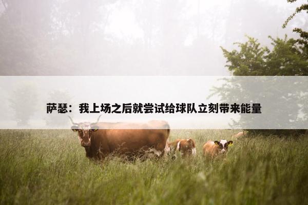 萨瑟：我上场之后就尝试给球队立刻带来能量