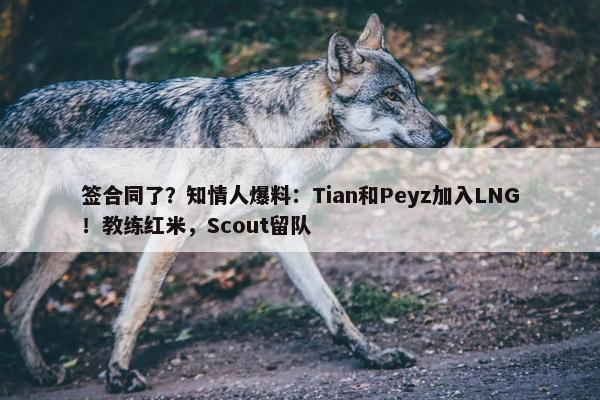 签合同了？知情人爆料：Tian和Peyz加入LNG！教练红米，Scout留队