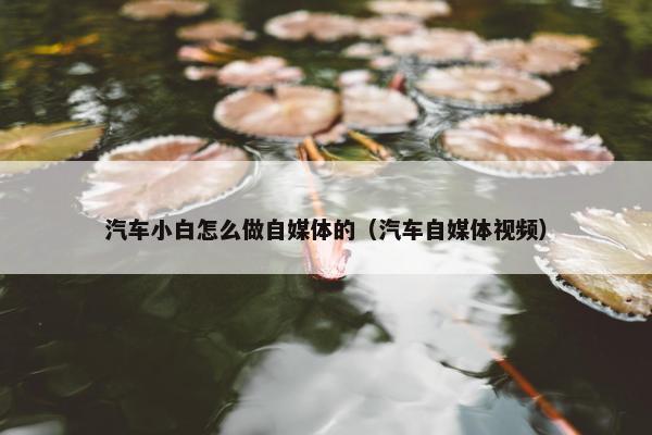 汽车小白怎么做自媒体的（汽车自媒体视频）