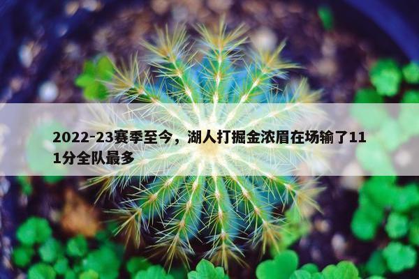 2022-23赛季至今，湖人打掘金浓眉在场输了111分全队最多