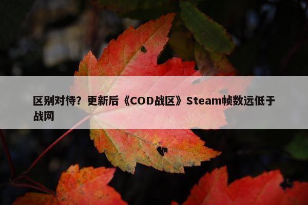 区别对待？更新后《COD战区》Steam帧数远低于战网