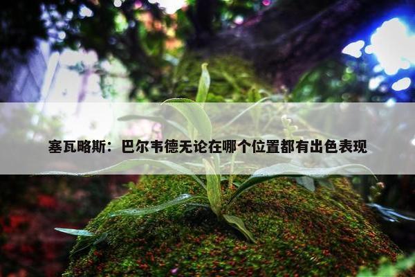 塞瓦略斯：巴尔韦德无论在哪个位置都有出色表现