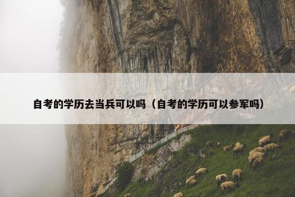 自考的学历去当兵可以吗（自考的学历可以参军吗）